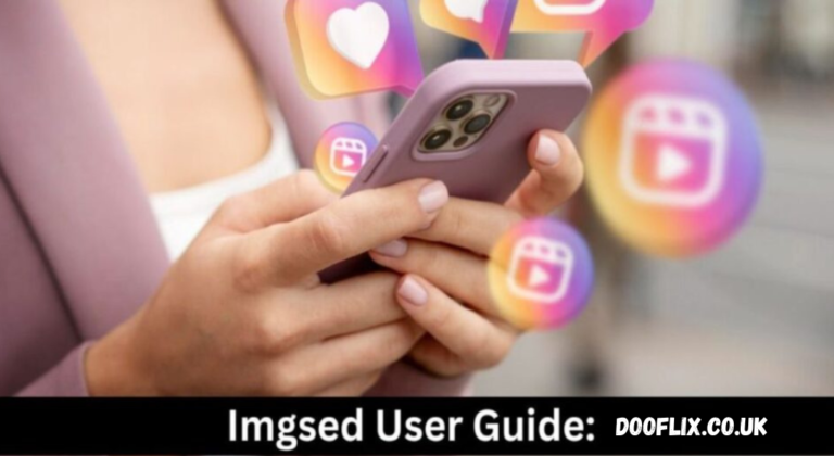 IMGSED: Revolutionizing Image Search and Exploration